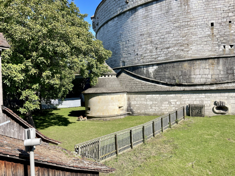 Munot-Schaffhausen