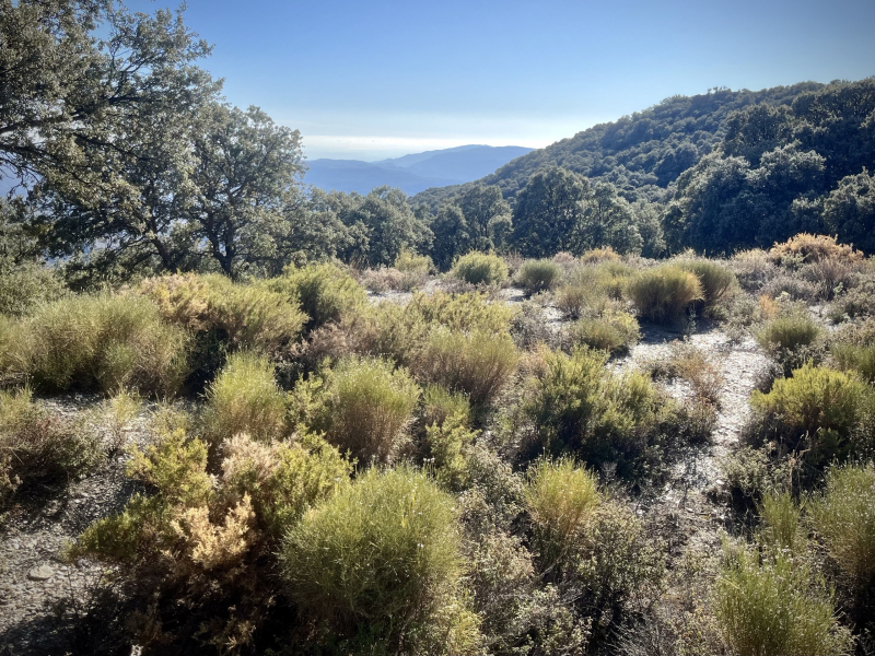 Sierra-Nevada
