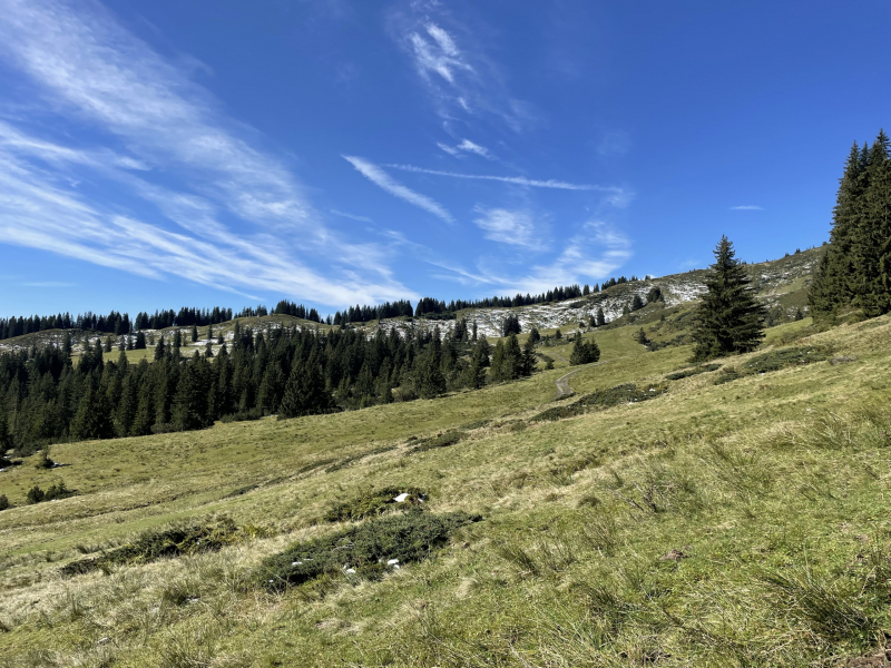 Herbstanfang-Wanderung-zum-Riedberger-Horn