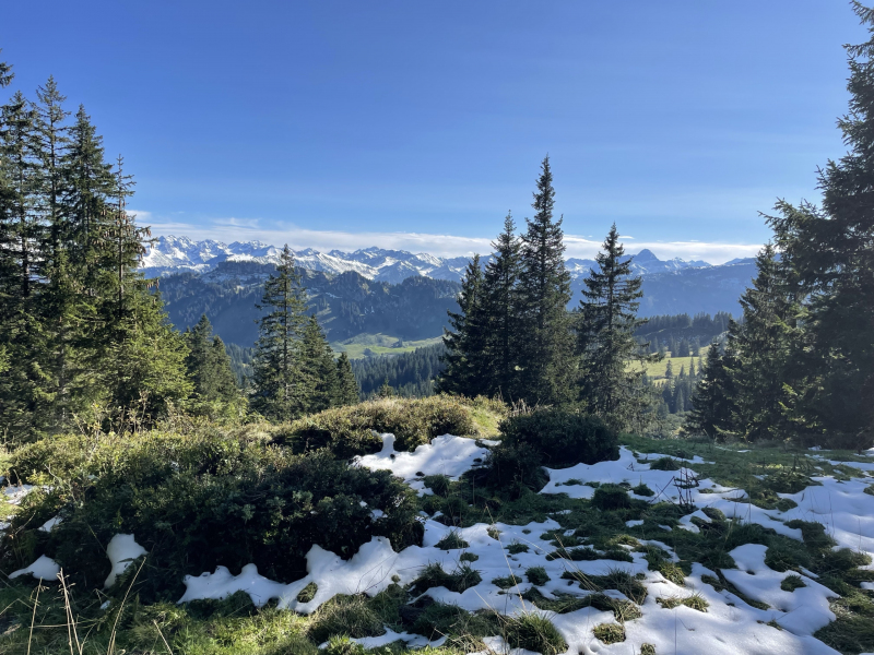 Wanderung-zum-Riedberger-Horn