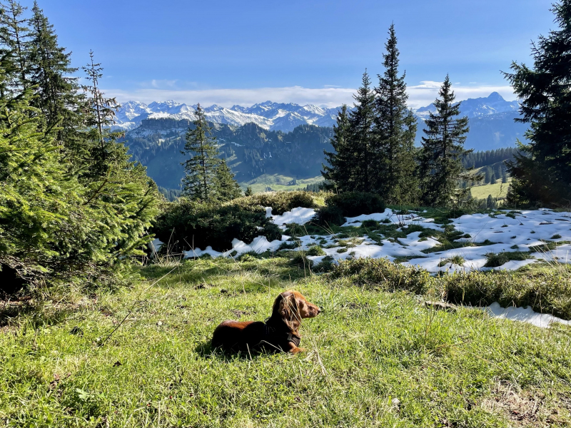 Riedberger-Horn