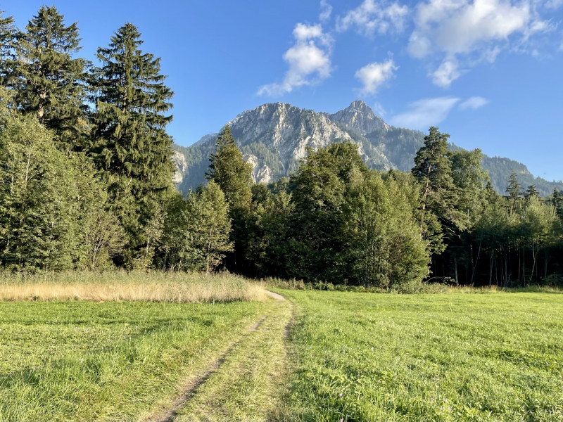 Herbstanfang-Schwangau