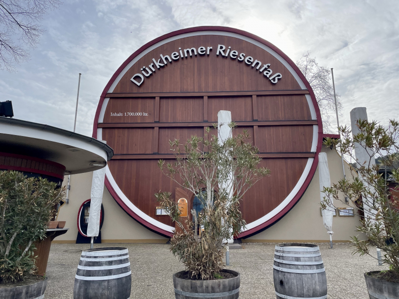 Weinberge-Riesenfass-Dürkheim