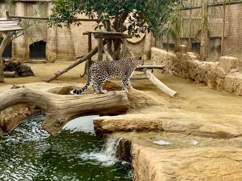 Tabernas-Zoo