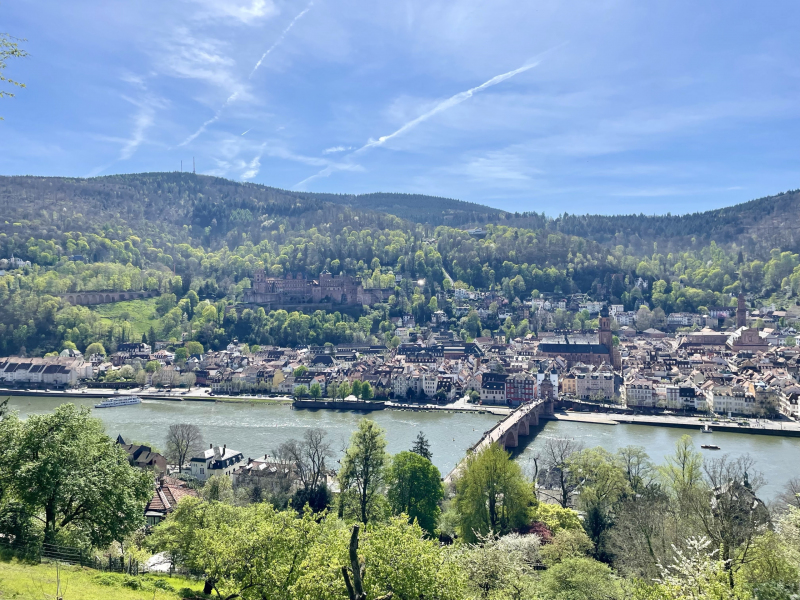 1Heidelberg-Schlangenweg