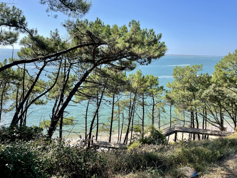 Strandtage-Dune-du-Pilat-Zugang