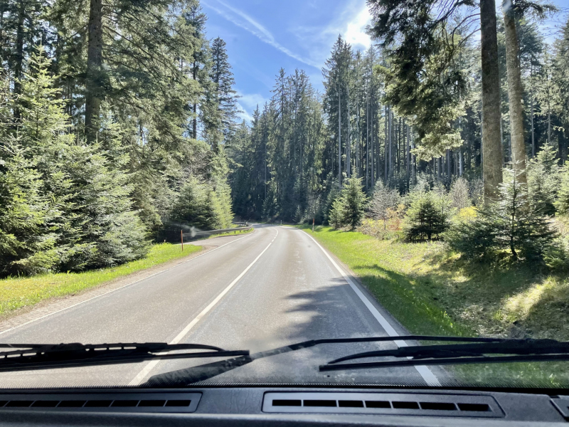 Schwarzwald-Straße
