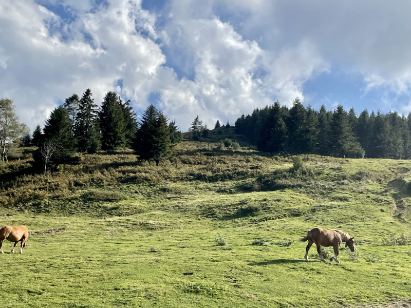 Landschaft-in-den-Bergen