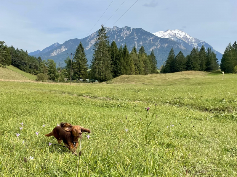 Bayern-Zugspitzregion