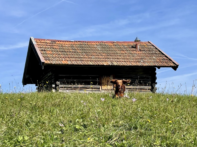 Bayern-Zugspitzregion