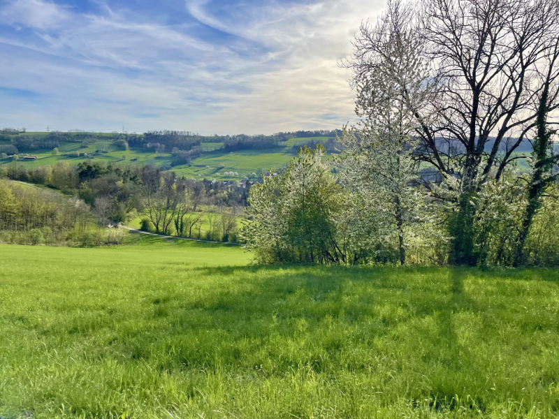 Schwarzwald-Weilheim