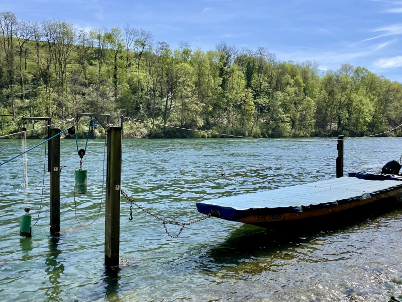 Rheinfall-Boot