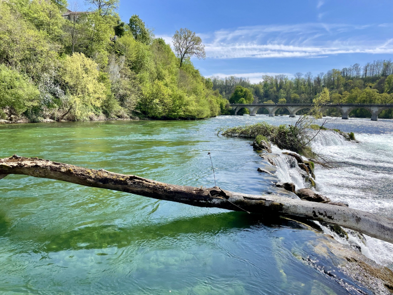 Rheinfall-Wasserfall