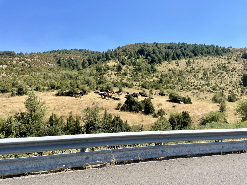 Spanien-El-Pont-de-Suert