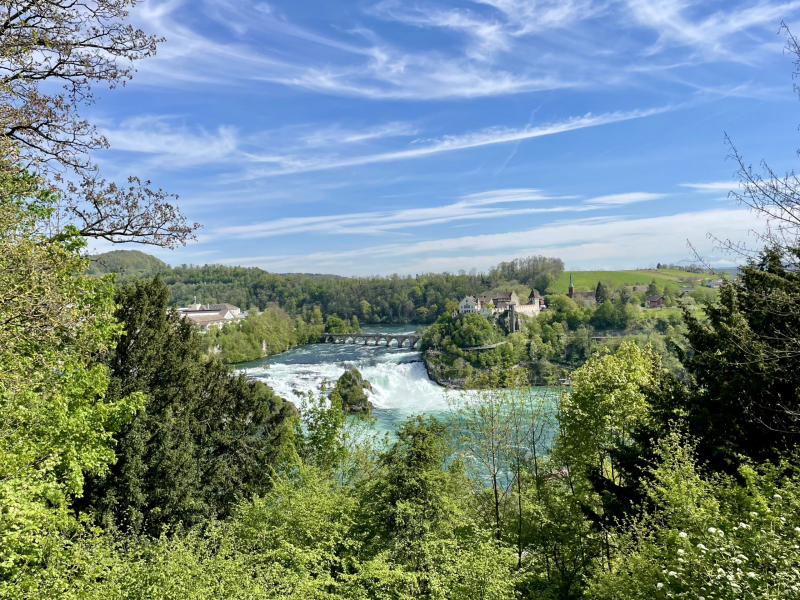 Aussicht-auf-den-Rhein