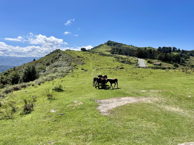 Baskenland-Jaizkibel-Aussicht