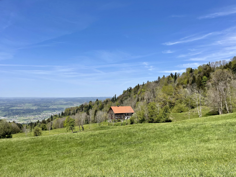 Lochau-Aussicht