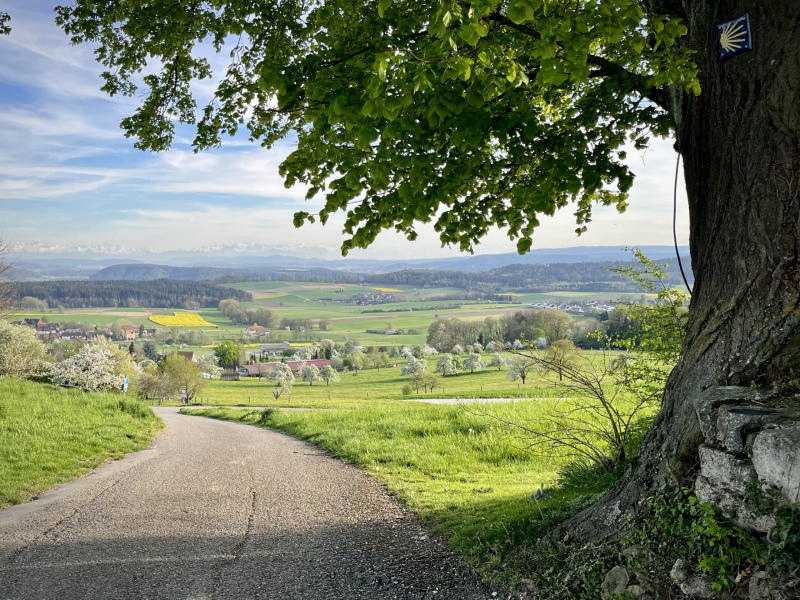 Weilheim-Aussicht