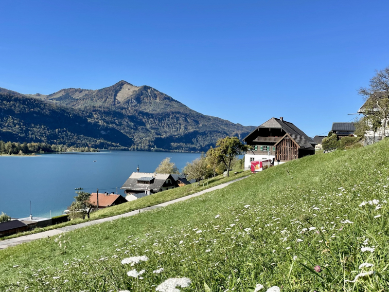 Wolfgangsee-Aussicht