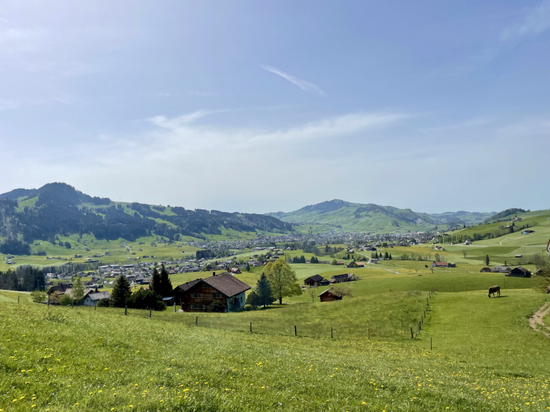 Appenzell-Steinegg