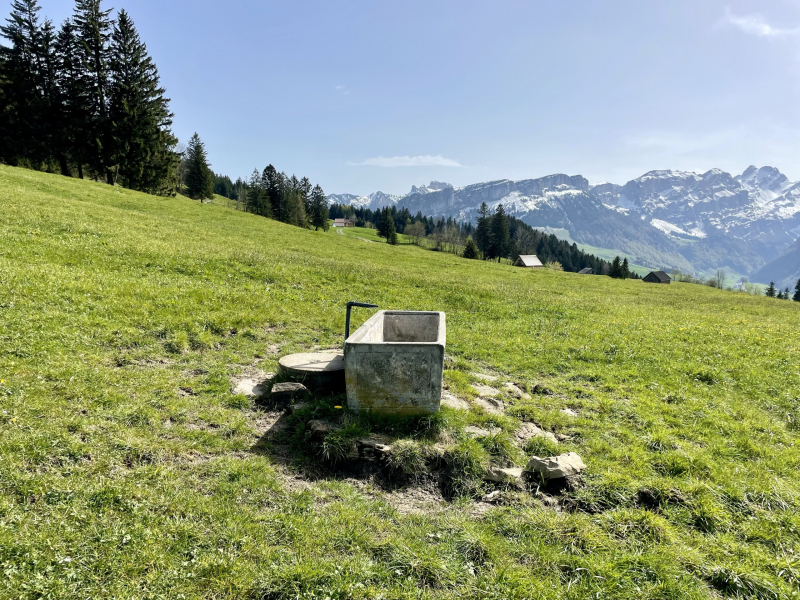 Appenzell-Steinegg