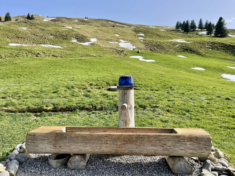 Quellwasser