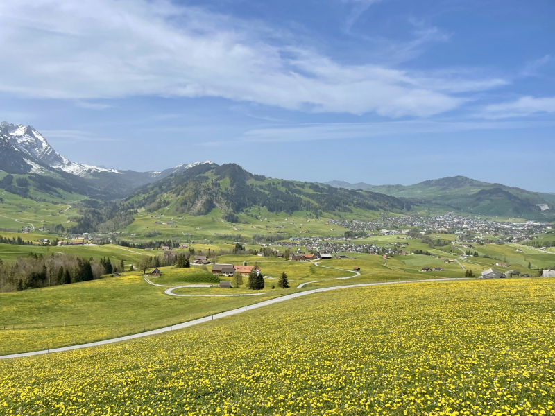 Appenzell-Steinegg