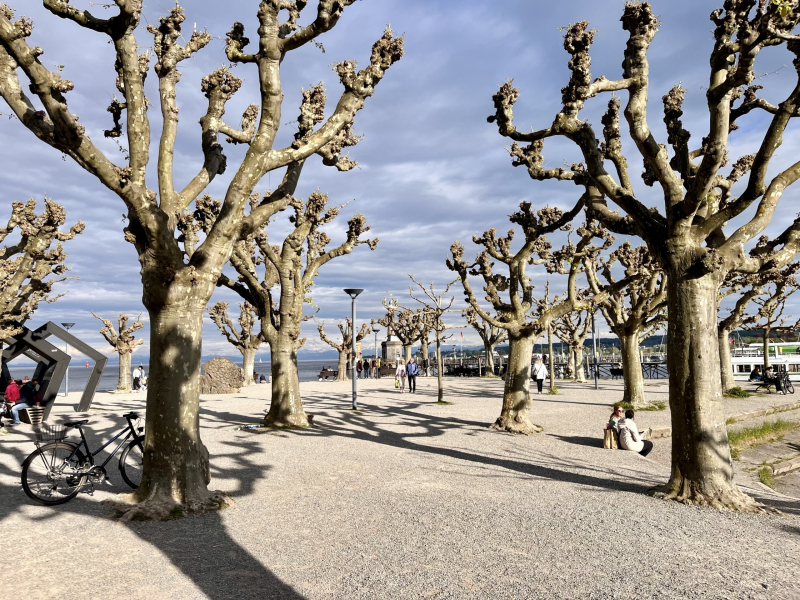 Konstanz