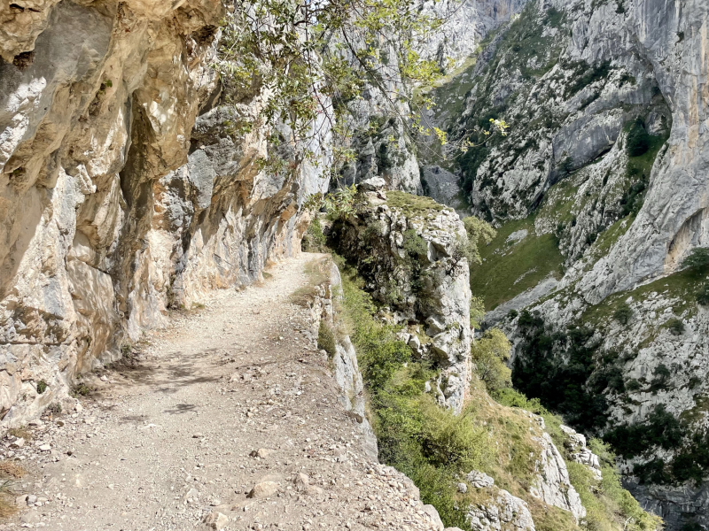 Picos-de-Europa-Ruta-del-Cares