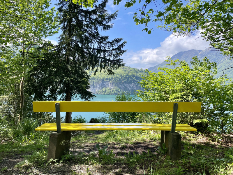 Vierwaldstättersee-Morschach