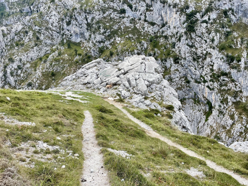 Picos-de-Europa-Ruta-del-Cares