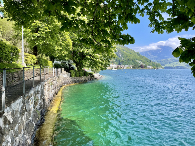 Vierwaldstättersee-Gersau