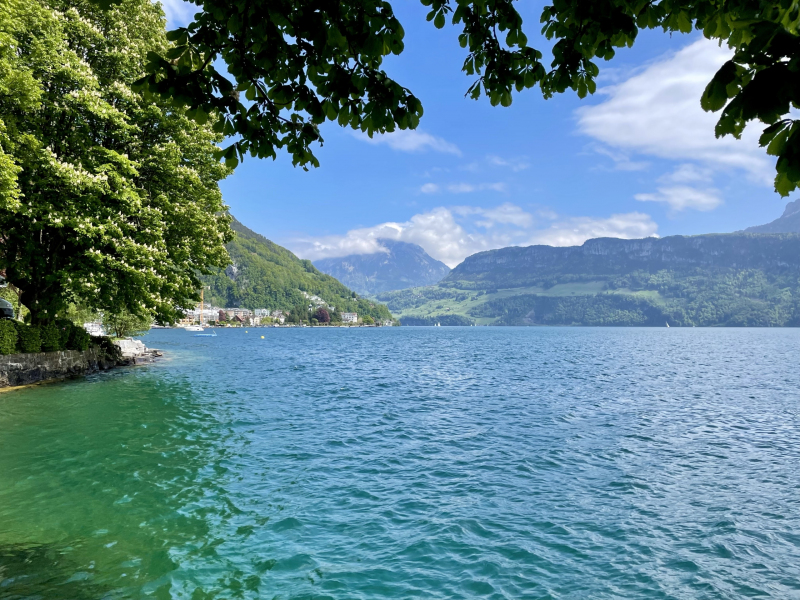 Vierwaldstättersee-Gersau