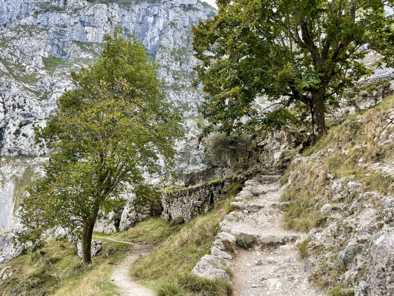 Picos-de-Europa-Ruta-del-Cares