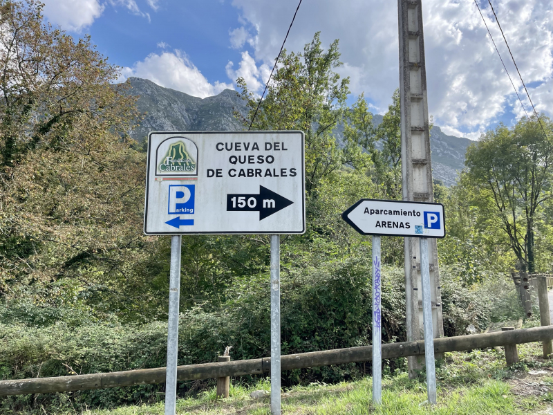 Cabrales-Höhlenkäse