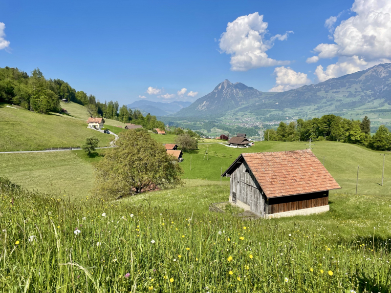 Stalden-Sarnen-Almwiese