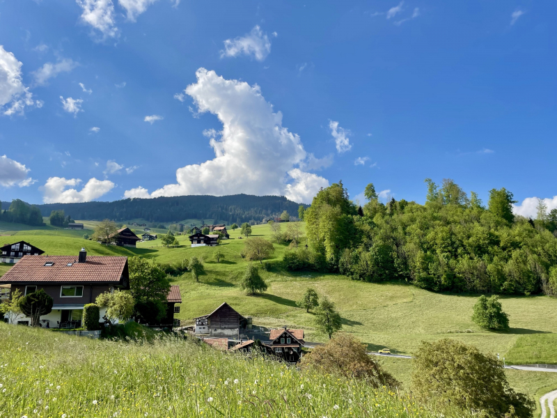 Stalden-Sarnen-Almwiese