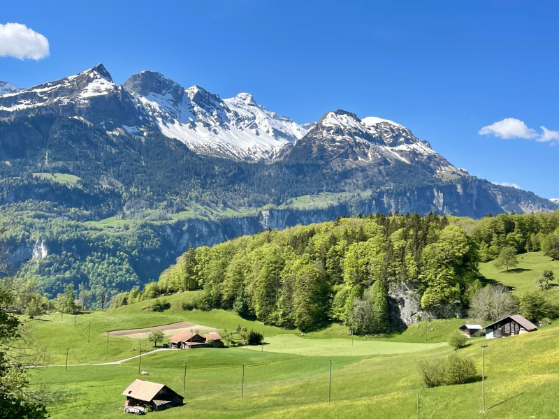 Kanton-Bern-Meiringen-Natur