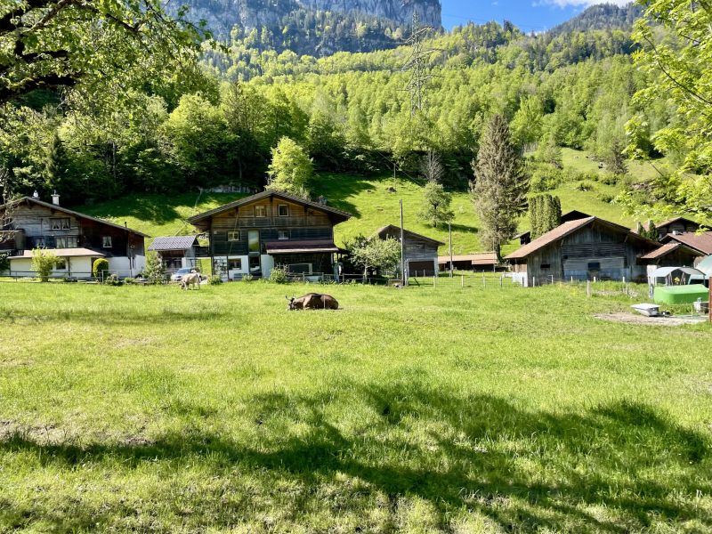 Kanton-Bern-Schattenhalb-Willingen