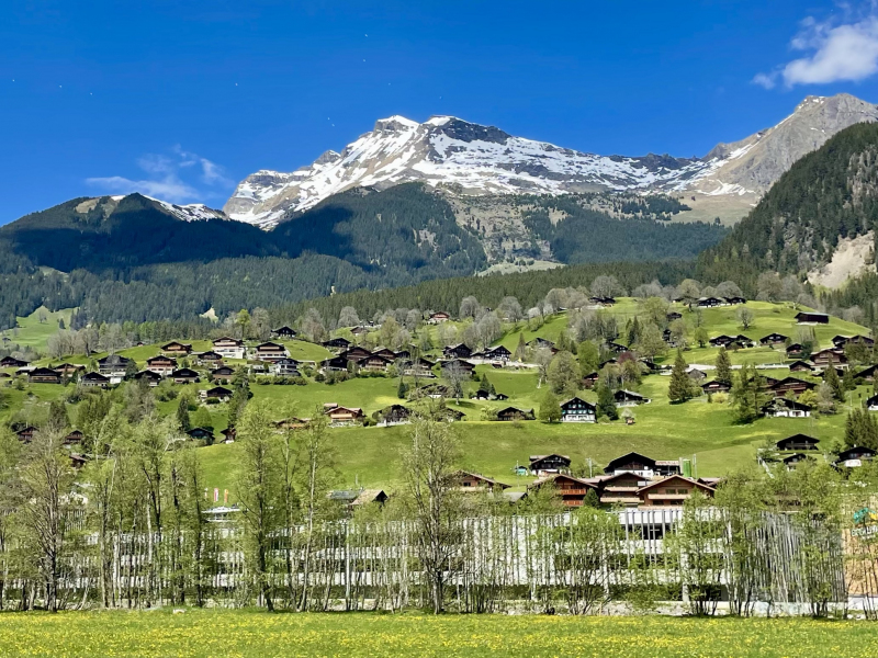 Kanton-Bern-Grindelwald