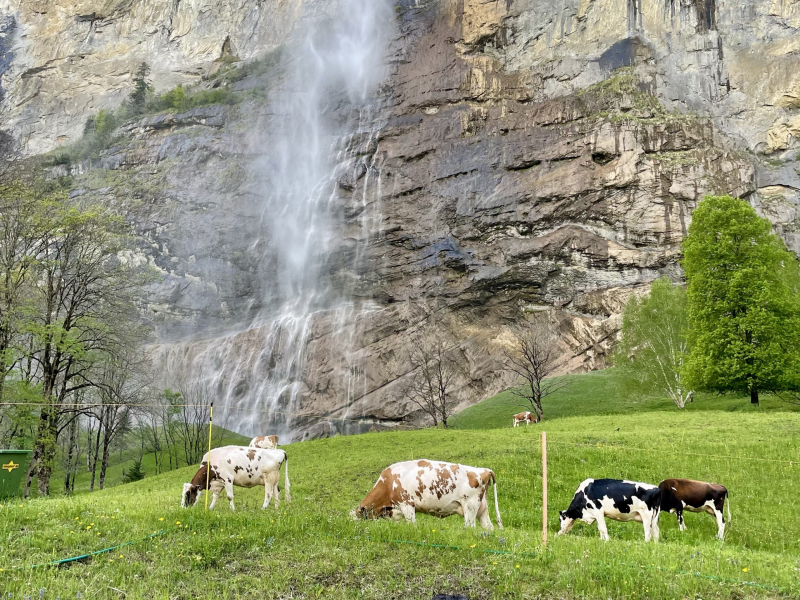 Staubbachfall