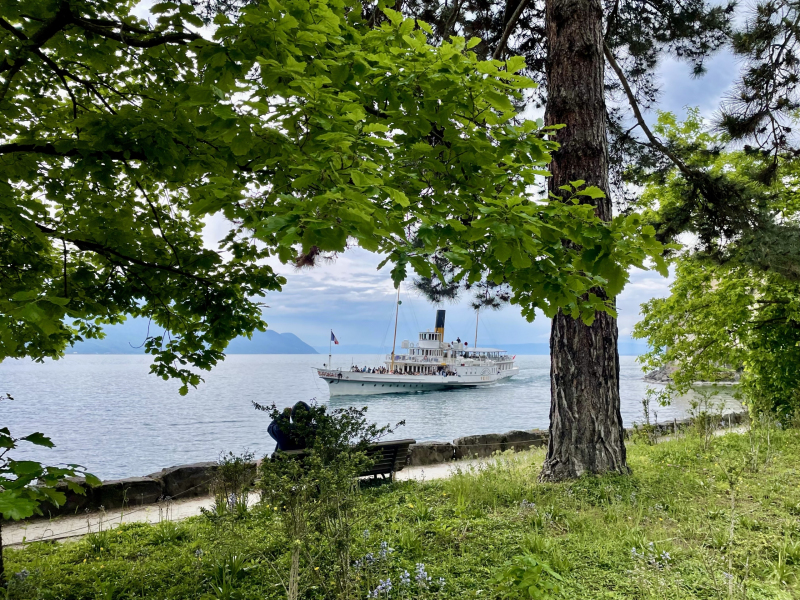 Lac-Léman-Schloss-Chillon