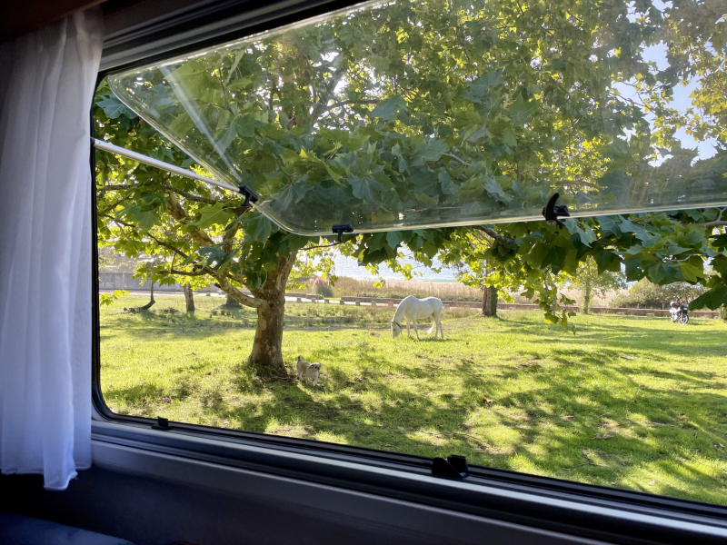 Aussicht-aus-dem-Fenster