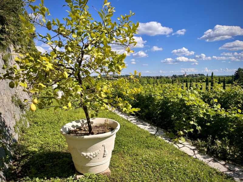 San-Pietro-in-Cariano