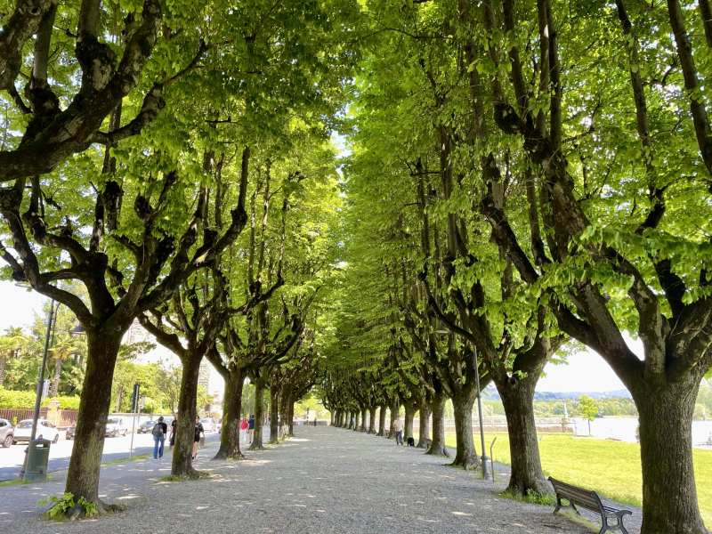 Angera-Park