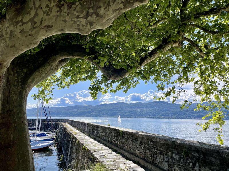 Lago-Maggiore