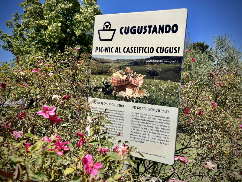 Caseificio-Cugusi-Silvana-Aussicht