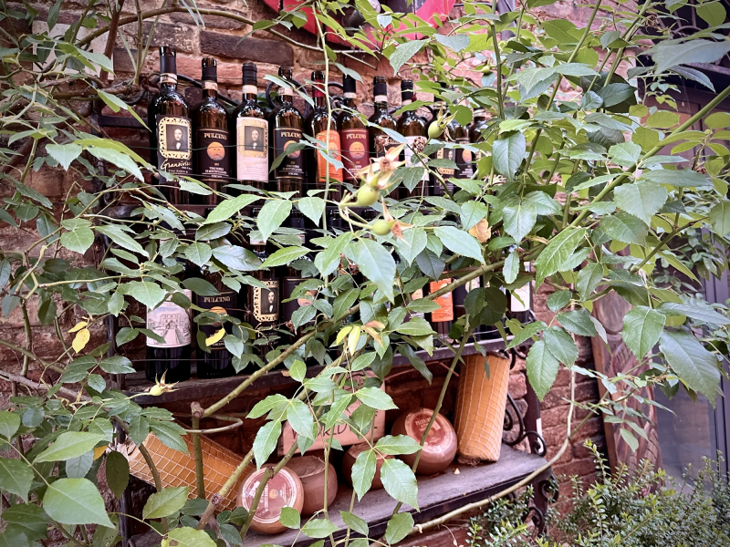Montepulciano-Città-Sotterranea