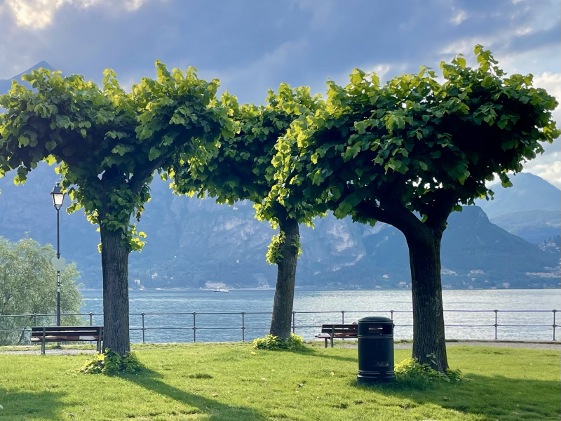 Bellagio-La-Punta-Spartivento