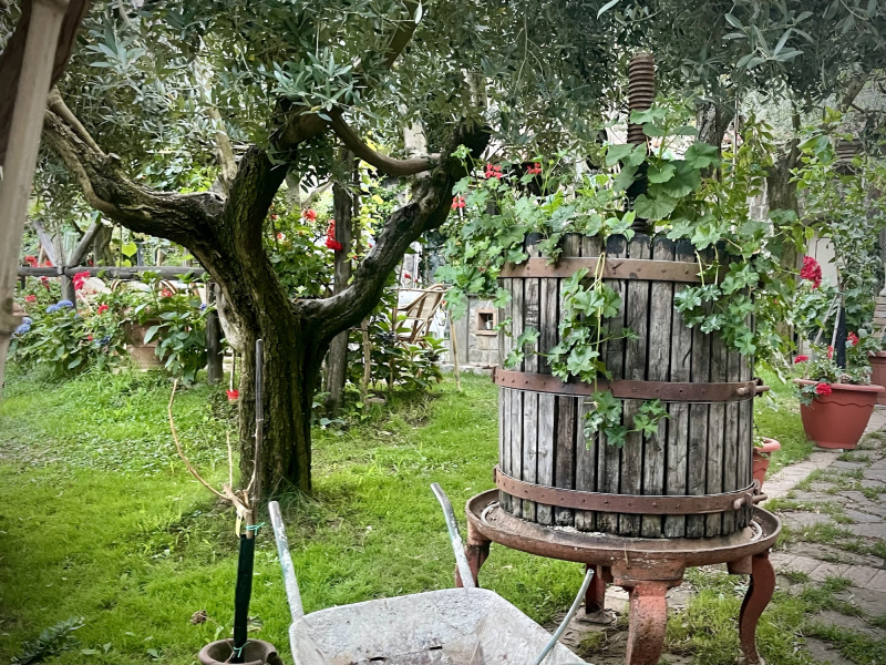 San-Lazzaro-Campingplatz